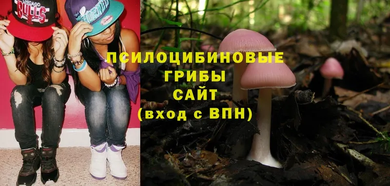 купить  сайты  Коломна  Галлюциногенные грибы Magic Shrooms 